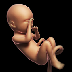 Je baby in week 39 van je zwangerschap